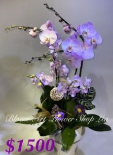 Table arrangement - Deluxe CODE 62893